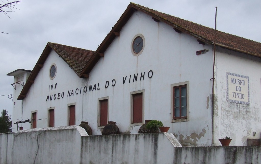 Museu do Vinho - Alcobaça